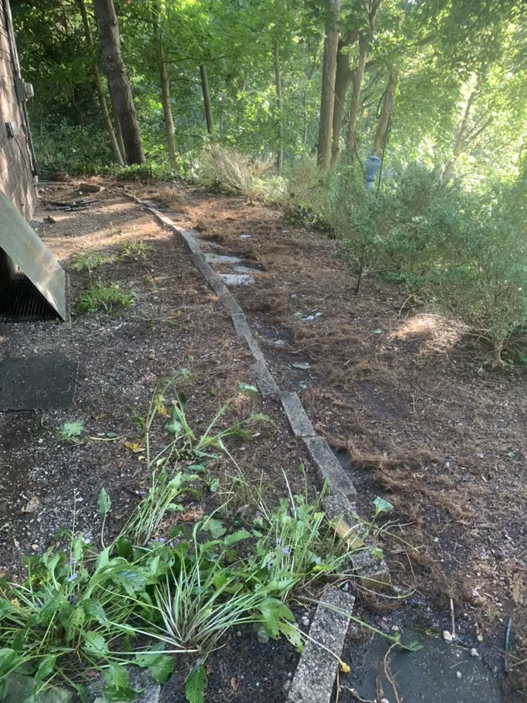 Expert landscape design near you across Bay Shore, NY - Planteriors Design and Amazing Earth