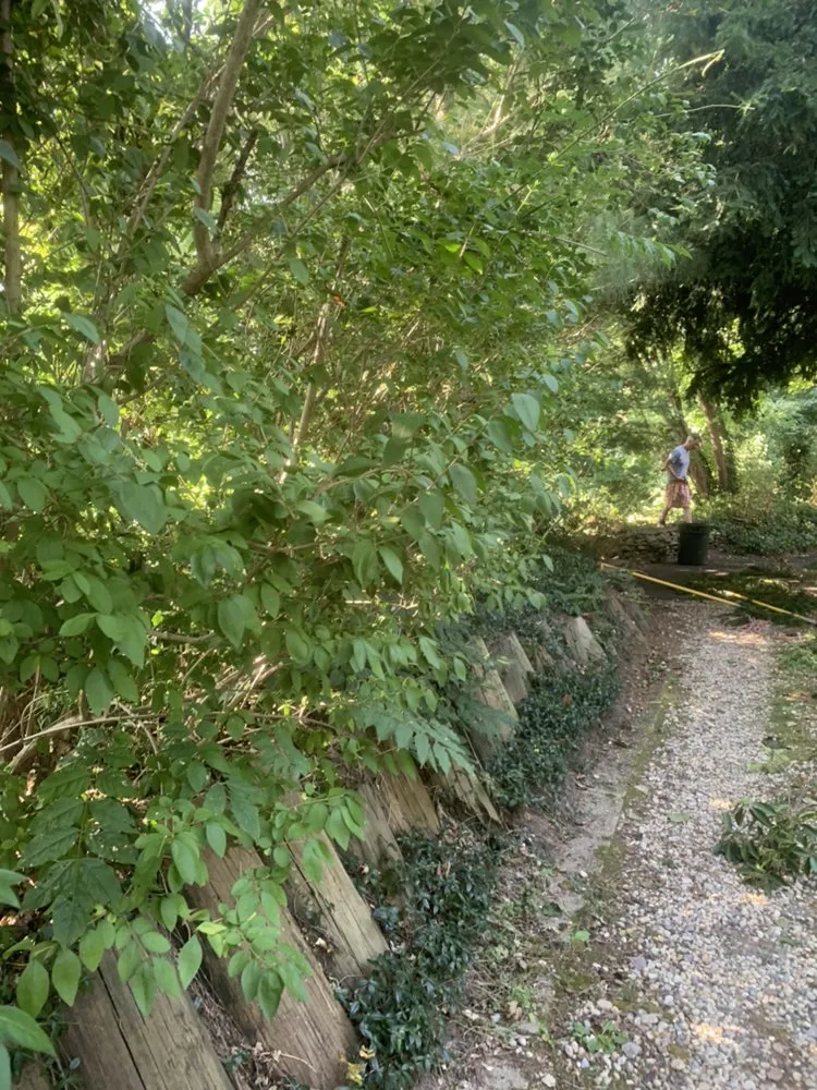 Top-rated landscape installation experts serving Bay Shore, NY - Planteriors Design and Amazing Earth