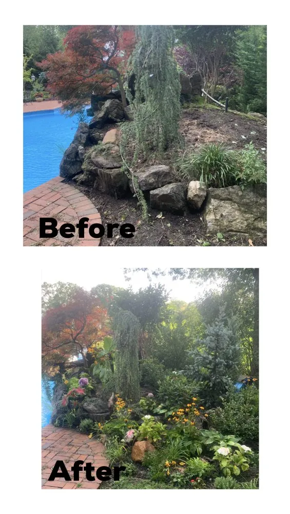 Professional landscaping services for outdoor upgrades in Bay Shore, NY by Planteriors Design and Amazing Earth
