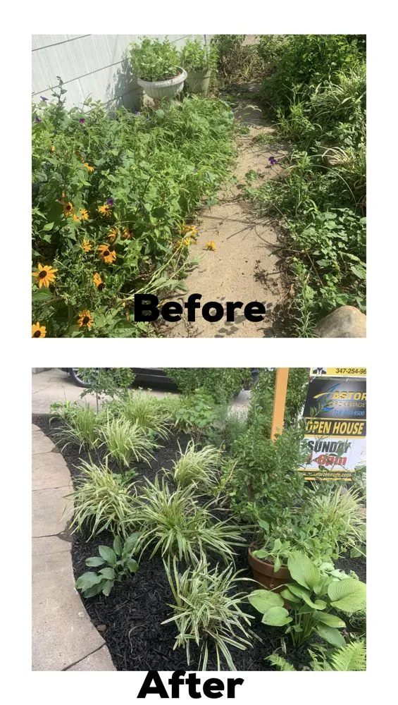 Local lawn care service in Bay Shore, NY by Planteriors Design and Amazing Earth