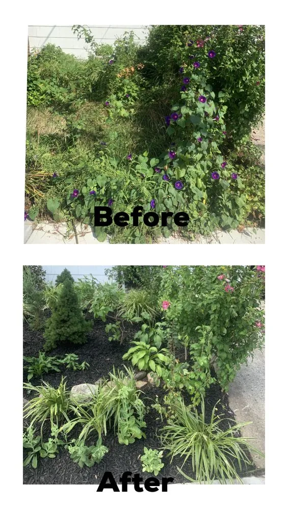 Local lawn care service for residential properties across Bay Shore, NY - Planteriors Design and Amazing Earth