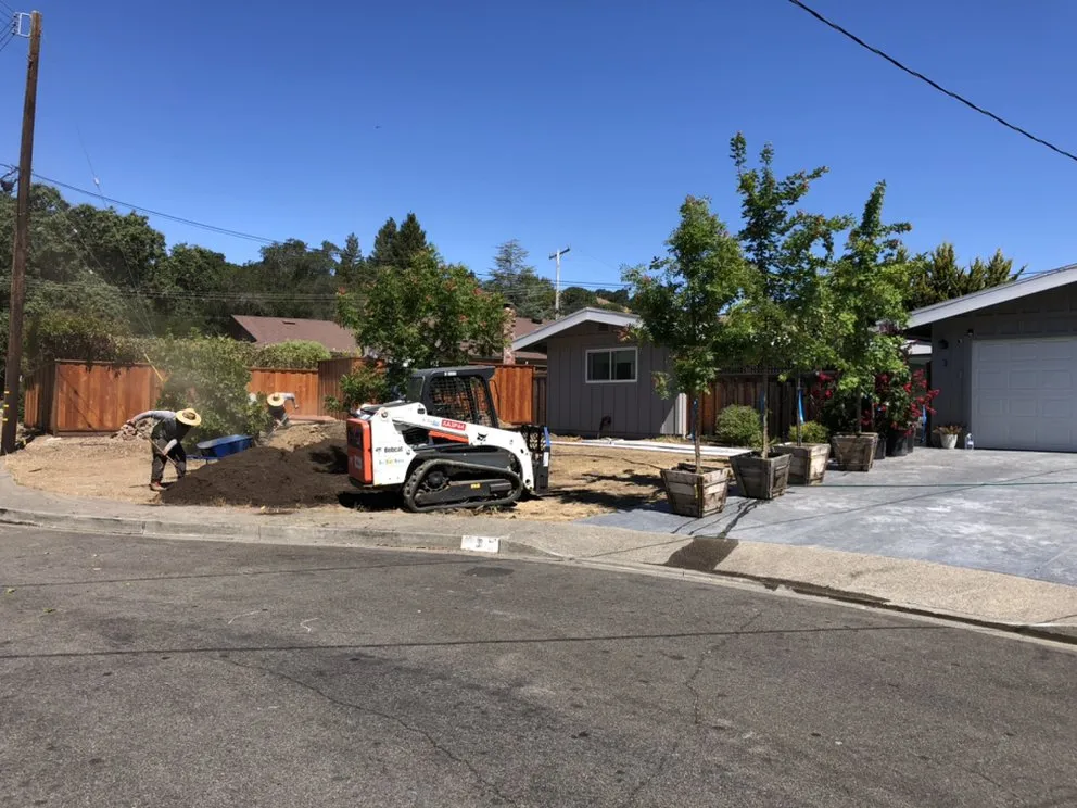 Top-rated yard cleanup service for outdoor upgrades across Sonoma, CA - PlanTerra Landscapes