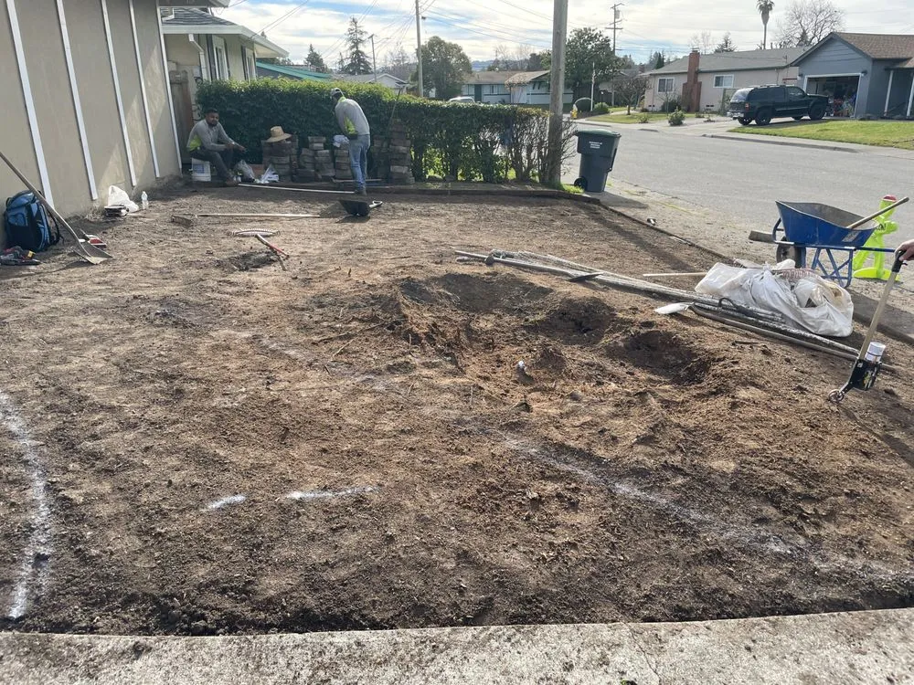 Professional yard cleanup service in Sonoma, CA by PlanTerra Landscapes