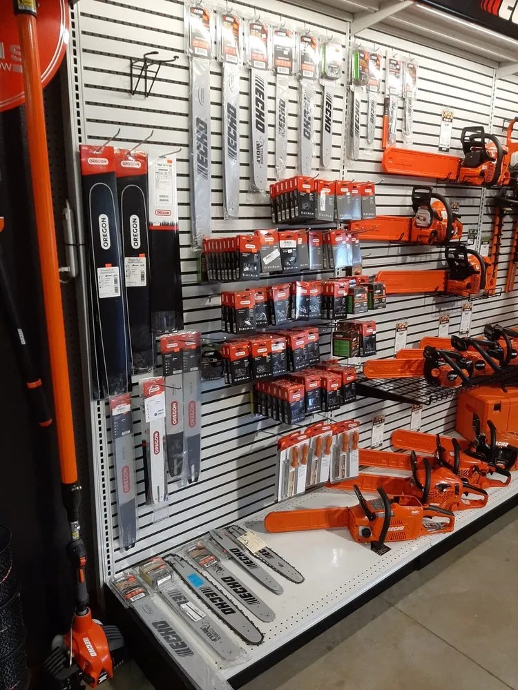 Top-rated yard cleanup service experts serving Bristol, VA - Planters & Designers