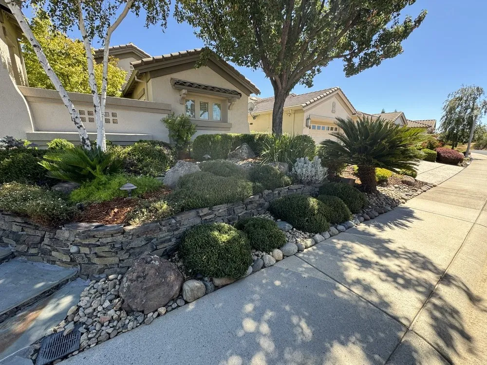 Custom yard maintenance with custom design across Rocklin, CA - Planting Hope Landscape
