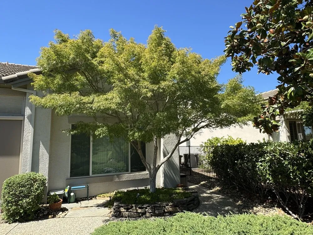 Trusted lawn care service in Rocklin, CA by Planting Hope Landscape