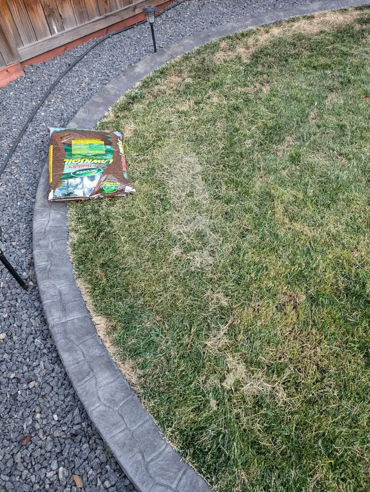 Expert yard cleanup service in Rocklin, CA - Planting Hope Landscape