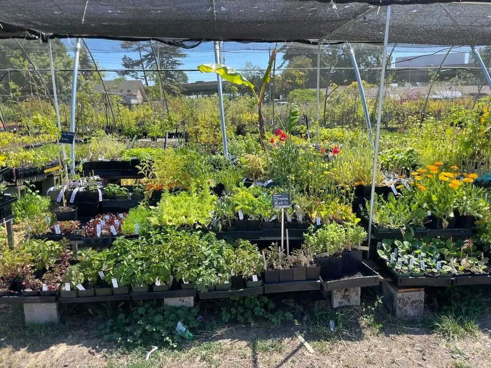 Trusted lawn mowing service in Oakland, CA - Planting Justice