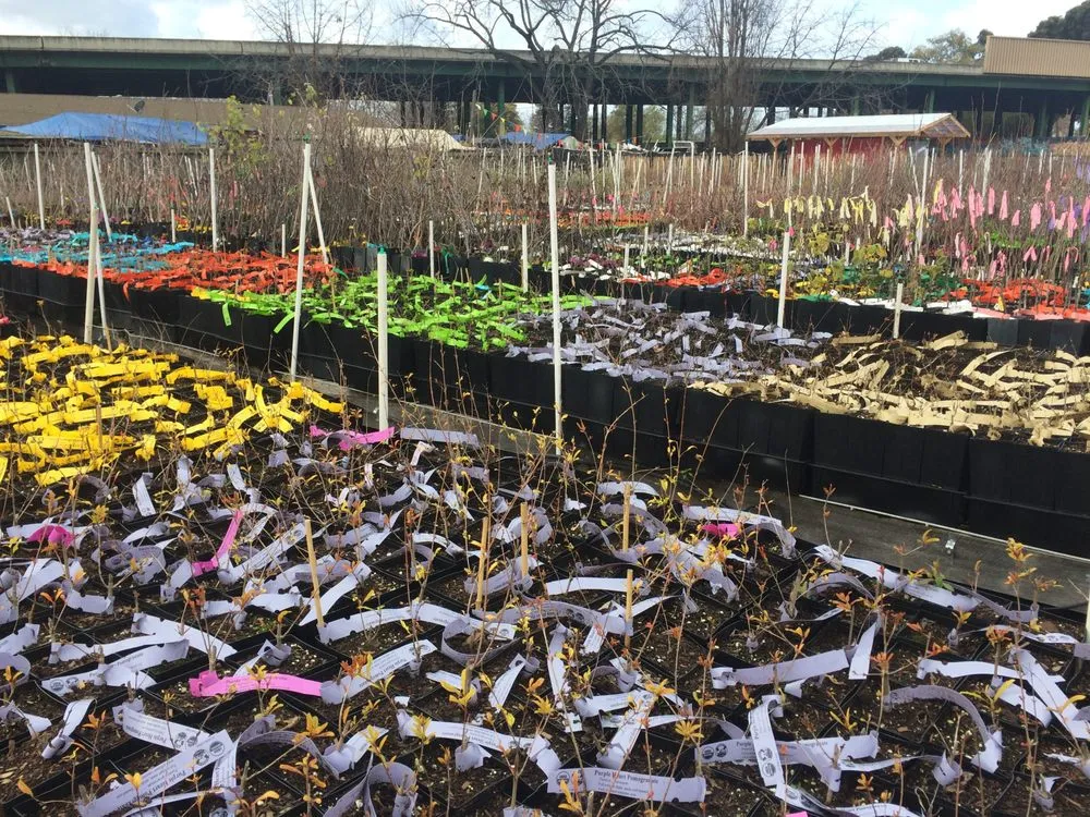 Trusted residential landscaping near you in Oakland, CA by Planting Justice