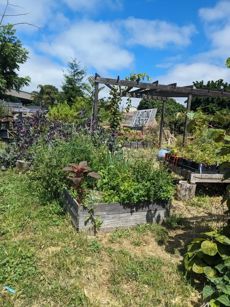 Local outdoor landscaping for year-round maintenance in Oakland, CA by Planting Justice