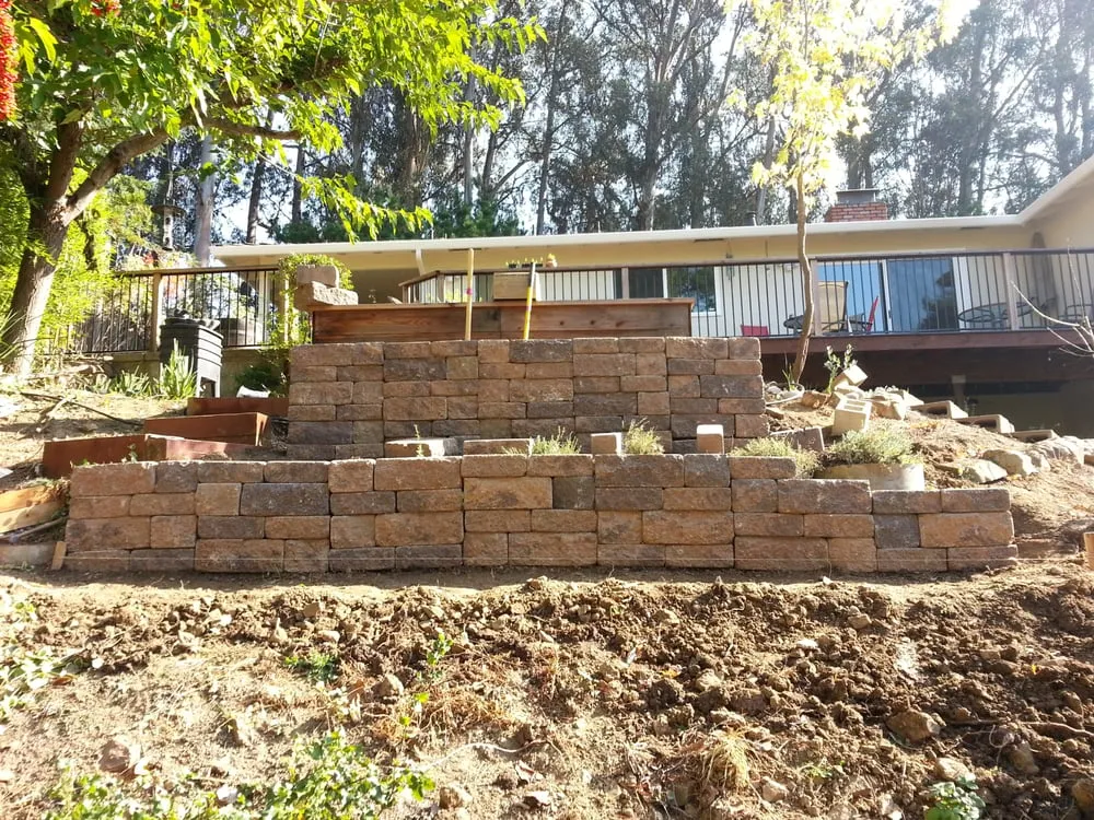 Top-rated yard maintenance in Oakland, CA by Planting Justice