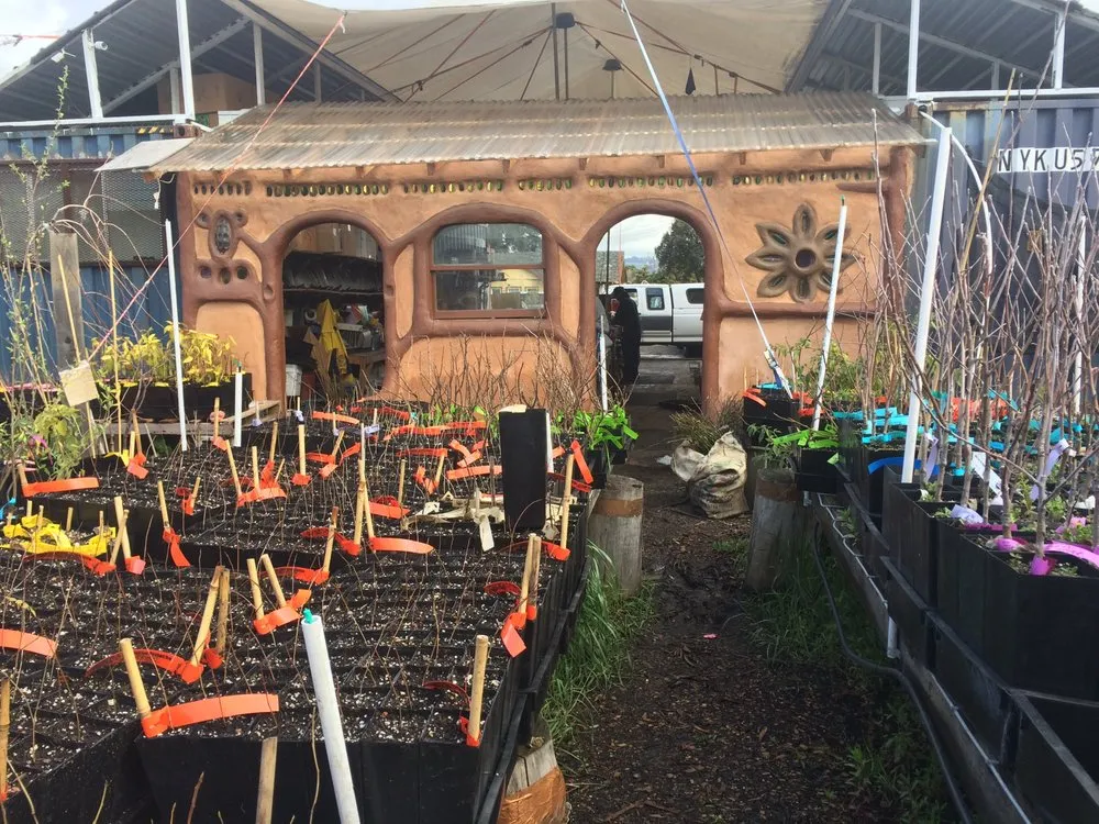 Trusted outdoor landscaping for beautiful yards across Oakland, CA - Planting Justice