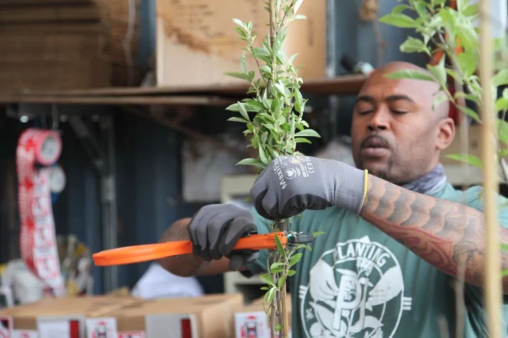 Trusted garden landscaping in Oakland, CA - Planting Justice