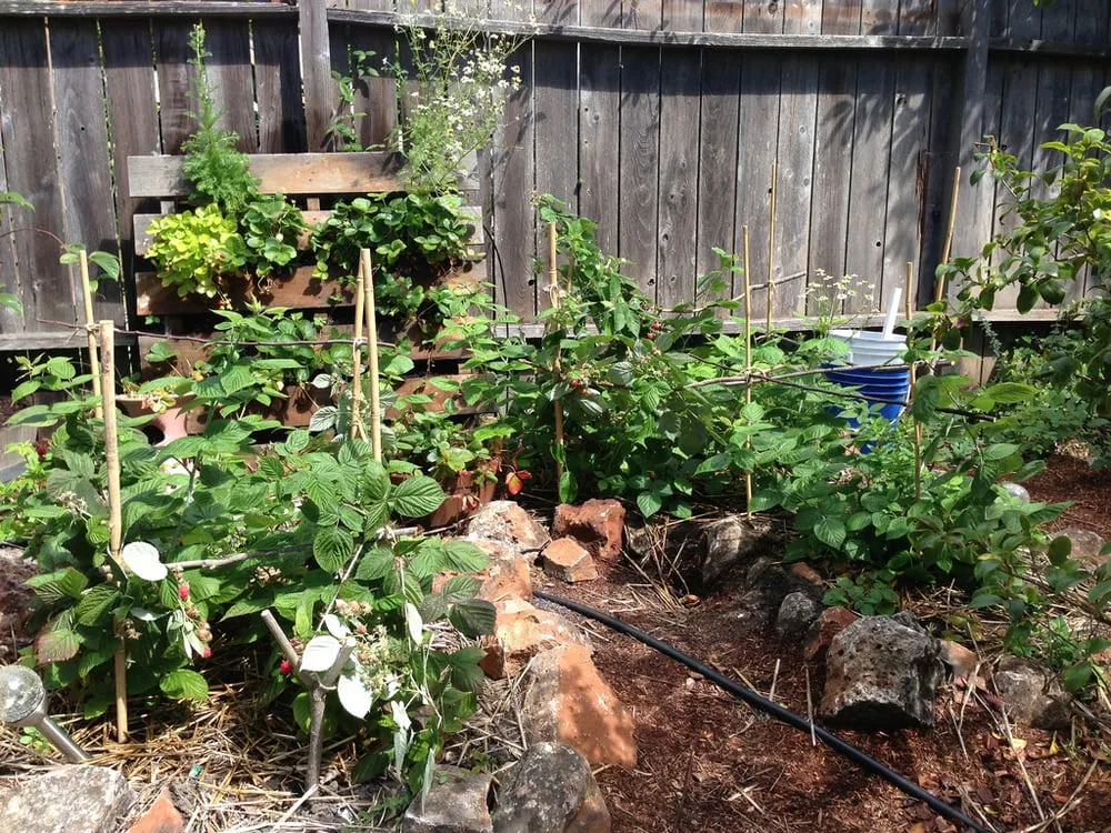 Expert landscape design for outdoor upgrades across Oakland, CA - Planting Justice