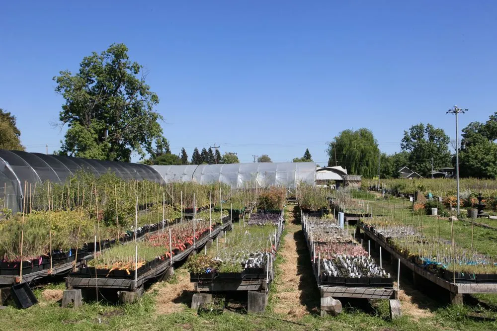 Professional yard maintenance in Oakland, CA - Planting Justice
