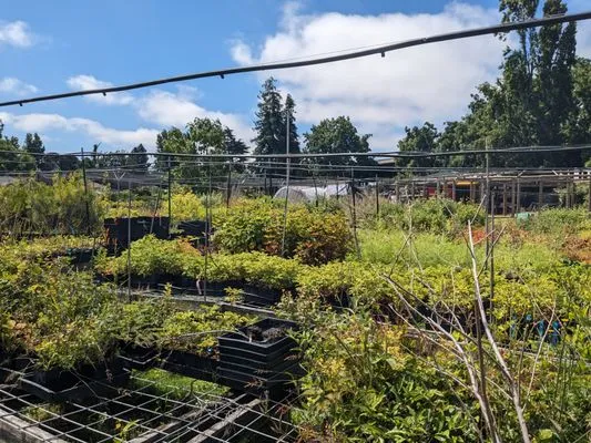 Planting Justice Logo