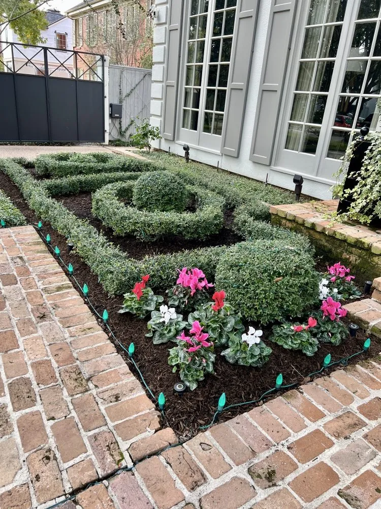 Trusted landscaping services for outdoor upgrades across Houston, TX - Planting Life