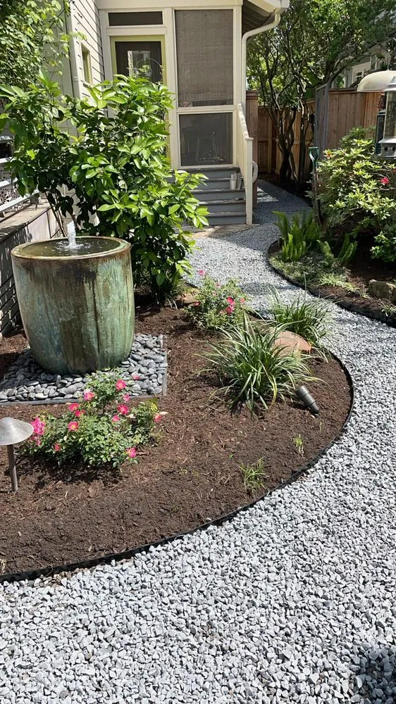 Top-rated yard cleanup service in Houston, TX by Planting Life