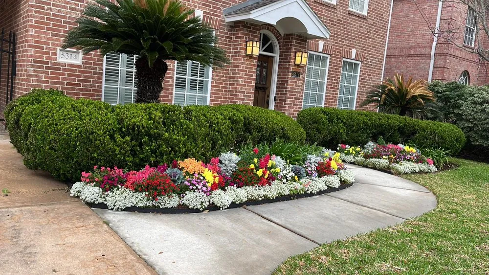 Expert landscape installation experts serving Houston, TX - Planting Life