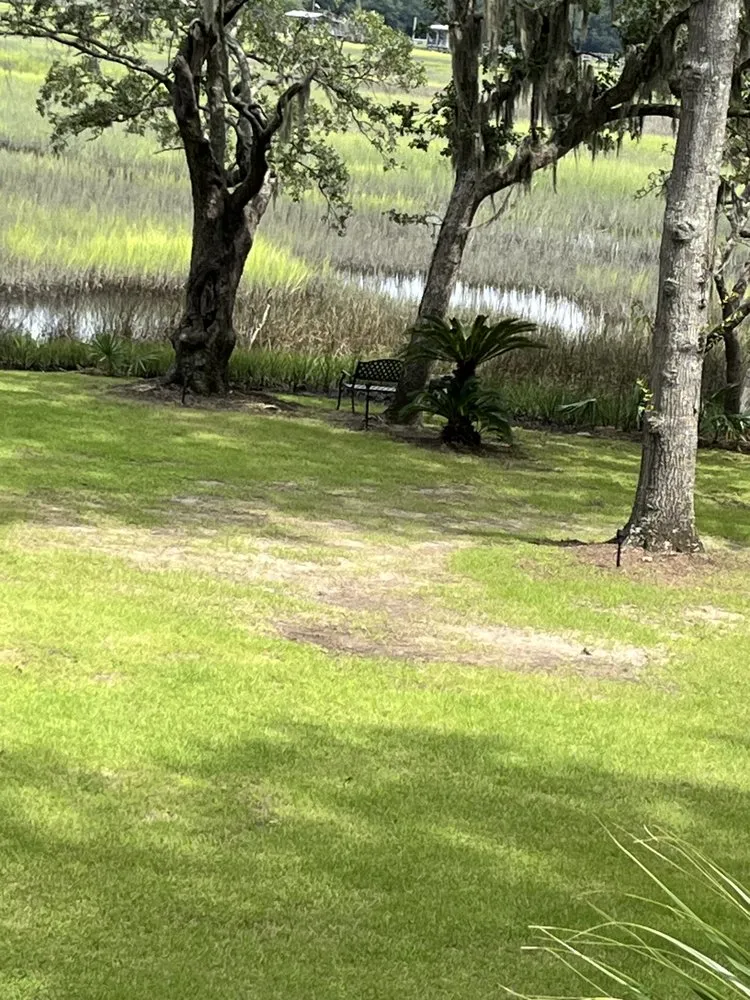 Trusted yard maintenance in Beaufort, SC - Planting Roots