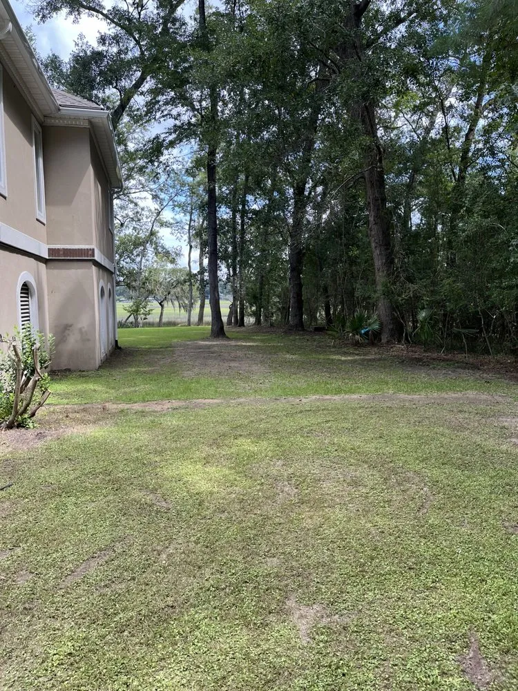 Custom lawn mowing service for beautiful yards across Beaufort, SC - Planting Roots