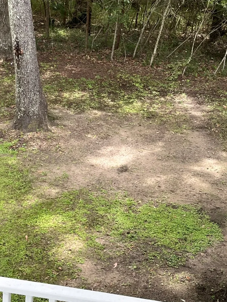 Trusted garden landscaping in Beaufort, SC by Planting Roots