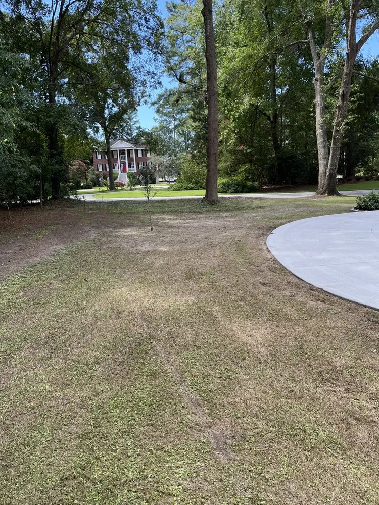 Reliable landscape installation for homes across Beaufort, SC - Planting Roots