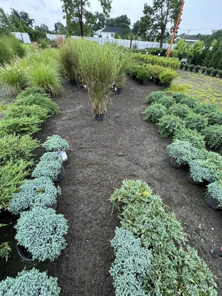 Trusted landscape installation for year-round maintenance across South Hempstead, NY - Planting Weed Removal & Coil Cleaning