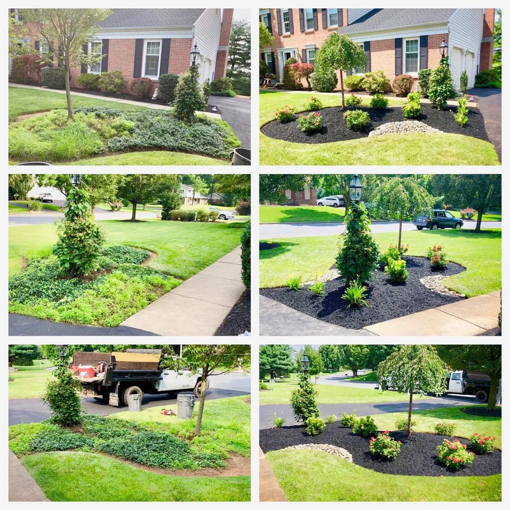 Trusted lawn care service in Allentown, PA - Plantique