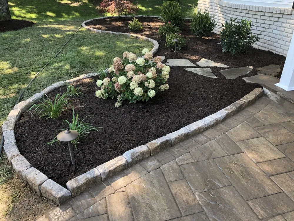 Professional yard cleanup service experts serving Allentown, PA - Plantique