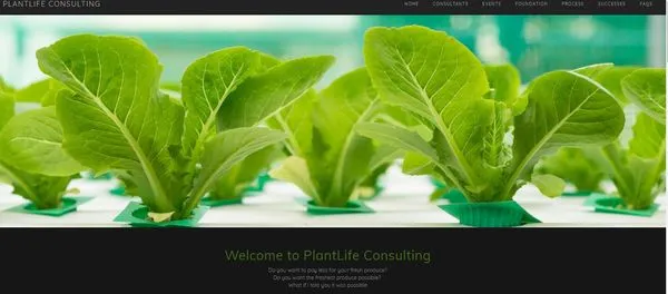 Plantlife Consulting Logo