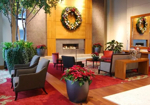 Local outdoor landscaping in San Diego, CA - Plantopia - San Diego