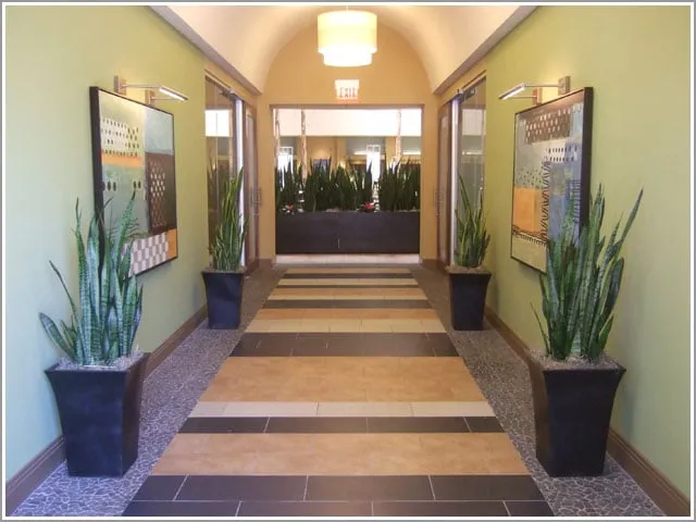 Professional garden landscaping in San Diego, CA - Plantopia - San Diego