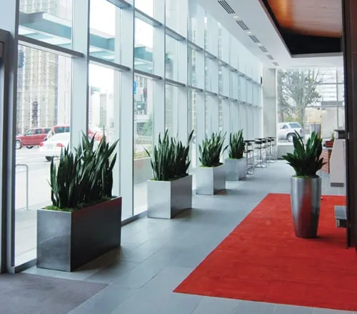 Affordable landscape installation in San Diego, CA - Plantopia - San Diego