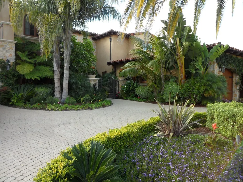 Trusted residential landscaping for year-round maintenance across San Diego, CA - Plantopia - San Diego