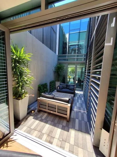 Expert yard cleanup service for outdoor upgrades across San Diego, CA - Plantopia - San Diego