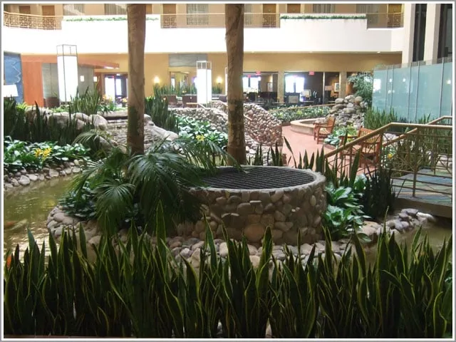 Affordable garden landscaping in San Diego, CA - Plantopia - San Diego