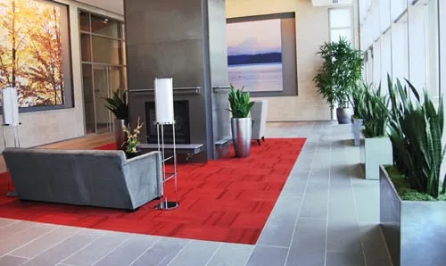 Professional yard maintenance for homes across San Diego, CA - Plantopia - San Diego