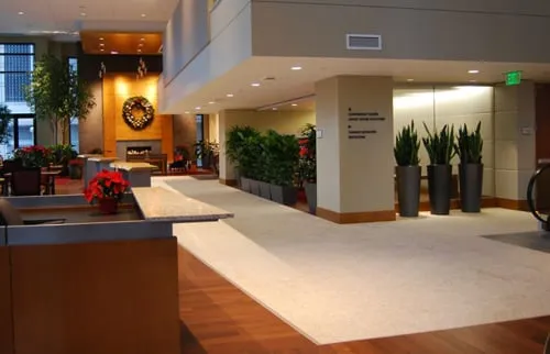 Affordable yard maintenance in San Diego, CA by Plantopia - San Diego