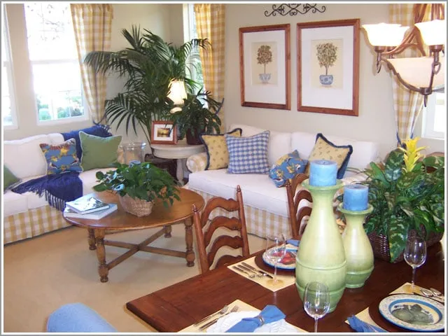 Affordable garden landscaping in San Diego, CA - Plantopia - San Diego