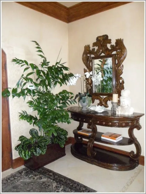 Expert yard maintenance in San Diego, CA by Plantopia - San Diego