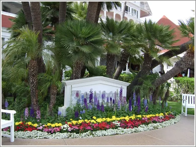 Top-rated landscape design for beautiful yards in San Diego, CA by Plantopia - San Diego