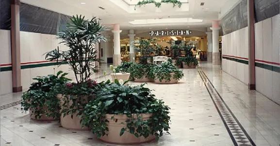 Expert residential landscaping for outdoor upgrades in Tallahassee, FL by Plants & Design Garden Interiors