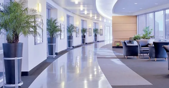 Custom lawn care service for homes in Tallahassee, FL by Plants & Design Garden Interiors