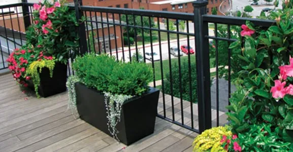 Professional lawn mowing service in Tallahassee, FL by Plants & Design Garden Interiors