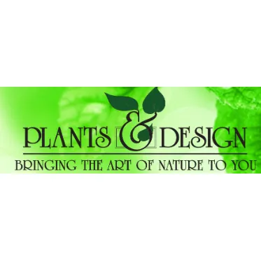 Affordable landscape installation with custom design across Tallahassee, FL - Plants & Design Garden Interiors