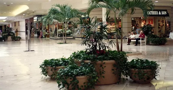 Top-rated landscape installation for outdoor upgrades in Tallahassee, FL by Plants & Design Garden Interiors