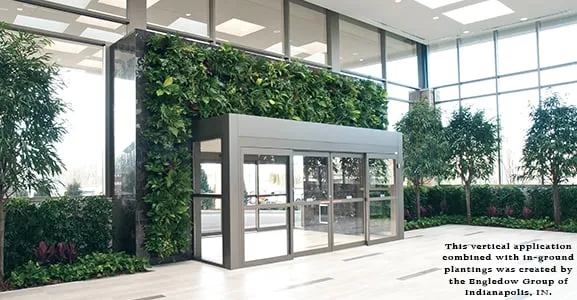 Plants & Design Garden Interiors Logo