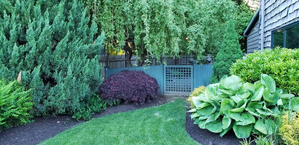 Reliable outdoor landscaping near you in Byfield, MA by Plants and Pleasantrees