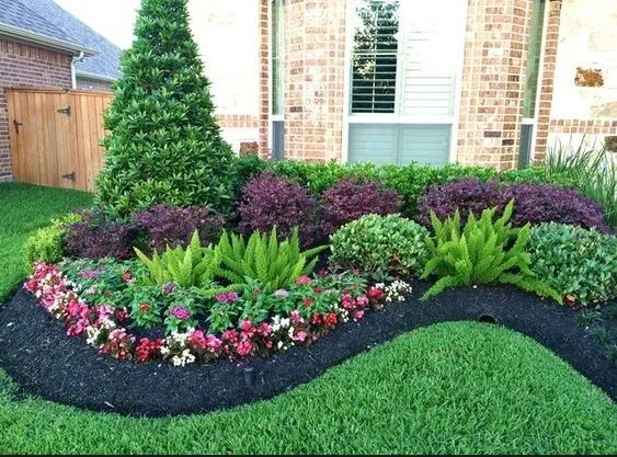 Professional yard cleanup service experts serving Glenmora, LA - Plants Capesla